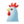 rik88-chicken-100-1